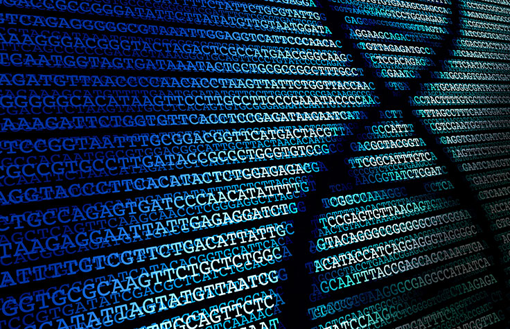 单细胞分析正在推进发育生物学的研究